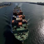 Reefer shipping remains resilient despite 2022 trade contraction
