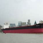 Dry Bulk Market: Mixed Performance for the Capesize and Panamax Markets