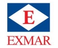 EXMAR hits milestone to equip gas newbuilds with ammonia dual-fuel engines