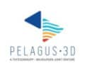 Pelagus 3D partners up for swift fabrication and delivery of critical component Innovative technology and collaborative spirit among OEMs and End Users