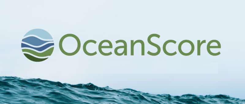 OceanScore: Identifying the Impact of FuelEU Maritime on Shipping Companies