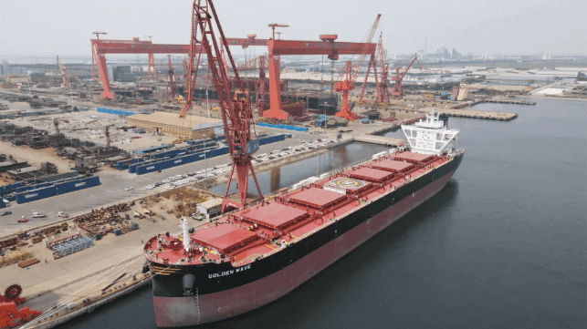 CSSC Tianjin Adds Two Drydocks With Purchase of Neighboring Yard