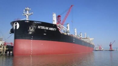 Precious Shipping fixes handy bulker to Oldendorff