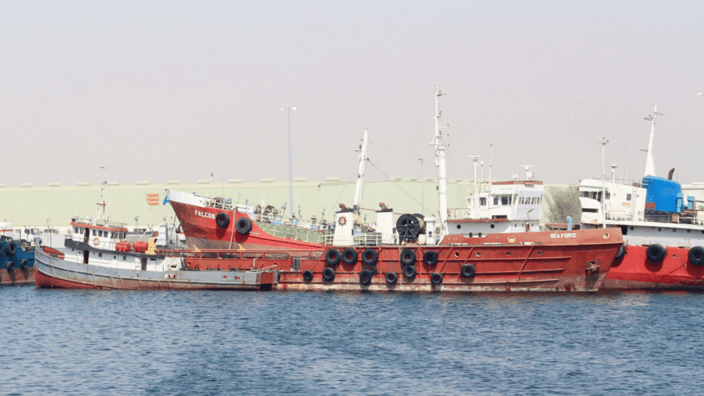Scrapping levels slow as demand rises for older tonnage