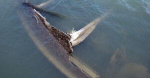 Explosives Loaded Nazi Ships That Sank In WWII Resurface In Danube River As Water Levels Drop