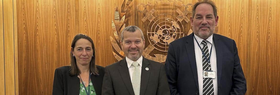 David Anderson elected Chair of IMO sub-committee on carriage of cargos and containers