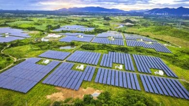 DNV's SolarFarmer offers affordable, scalable solution for solar project bankability