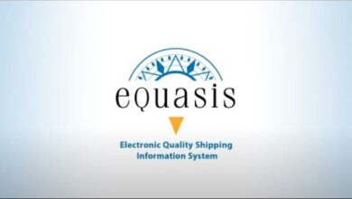 Equasis Shipping Database