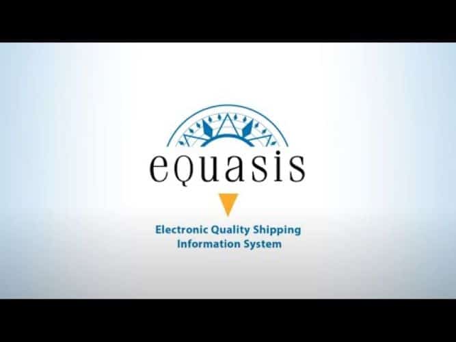 Equasis Shipping Database