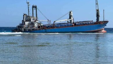 Cargo Ship VSG Glory Runs Aground in Red Sea, Causes Reef Damage