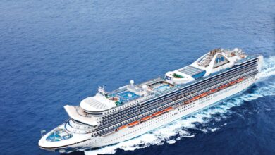 A 72-year-old Man Is Believed To Have Fallen Overboard From A Princess Cruise