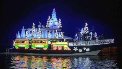 A Spectacle of Sparkle: 'Lights on Falcon' Dazzles Long Beach - Cruise Ships