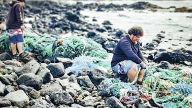 Agency sees uptick in marine debris