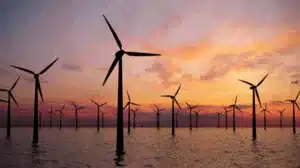 BOEM's Next Steps in Competitive Leasing Process for Offshore Wind Energy