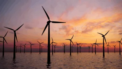 BOEM's Next Steps in Competitive Leasing Process for Offshore Wind Energy