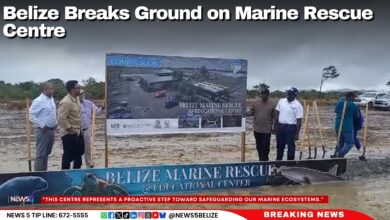 Belize Breaks Ground on Marine Rescue Centre