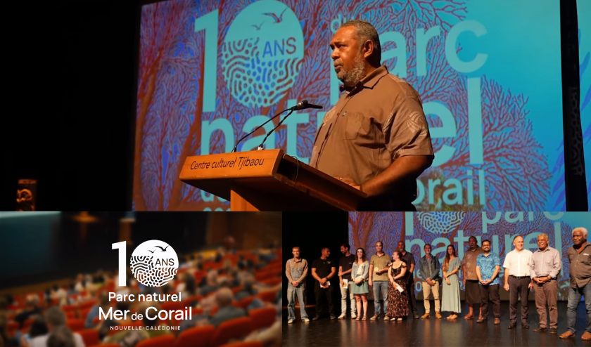 Celebrating a Decade of Marine Conservation: The Natural Park of the Coral Sea