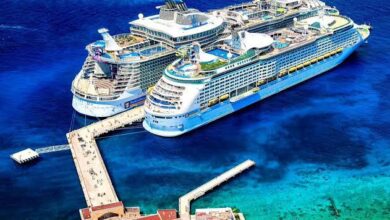 Cozumel breaks tourist record with the arrival of 35 cruise ships in December