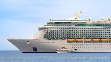 Cruise Ship Passenger Dies After Assaulting Crew Members: Reports