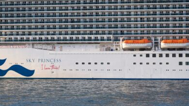 Cruise ship horror as passenger, 48, dies trying to jump from Sky Princess