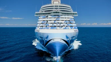 Cruise tips: The 'vital' thing to do before getting on a cruise ship, according