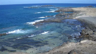 Deputy PM approves the expansion of new marine protected areas