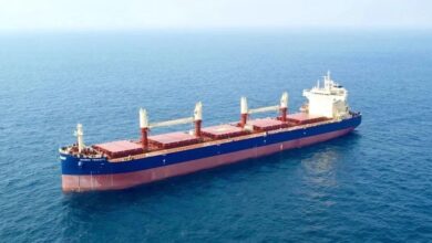 Doun Kisen bulks up with four newbuilds in China