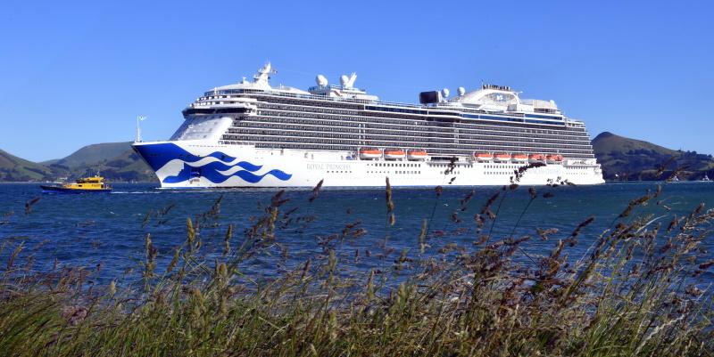 Fewer cruise ships will have impact on city economy: port boss