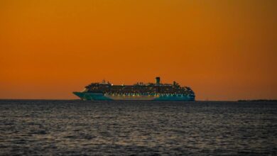 Fog Delays Cruise Ship's Return to Tampa, Embarkation Impacted