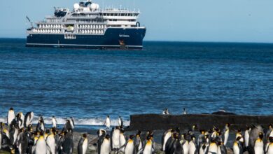 I was on the Antarctica cruise ship that made headlines - but here’s what the