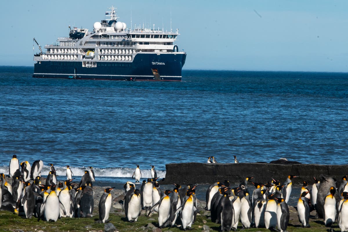 I was on the Antarctica cruise ship that made headlines - but here’s what the