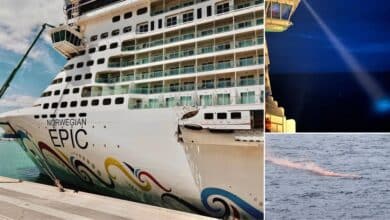 Man falls overboard from cruise ship the day after Christmas, search suspended