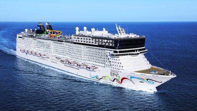 Norwegian Cruise ship 'man overboard' sparks frantic search as horrified