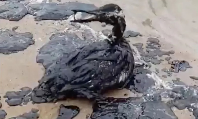 Oil washes up along Black Sea coastline following triple