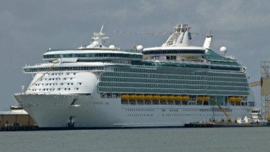 Passenger Dies After Running Amok on Cruise Ship Off LA