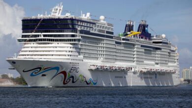 Passenger fell overboard from Norwegian cruise that left Port Canaveral