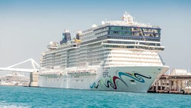 Search called off for man who went overboard as cruise headed to Bahamas