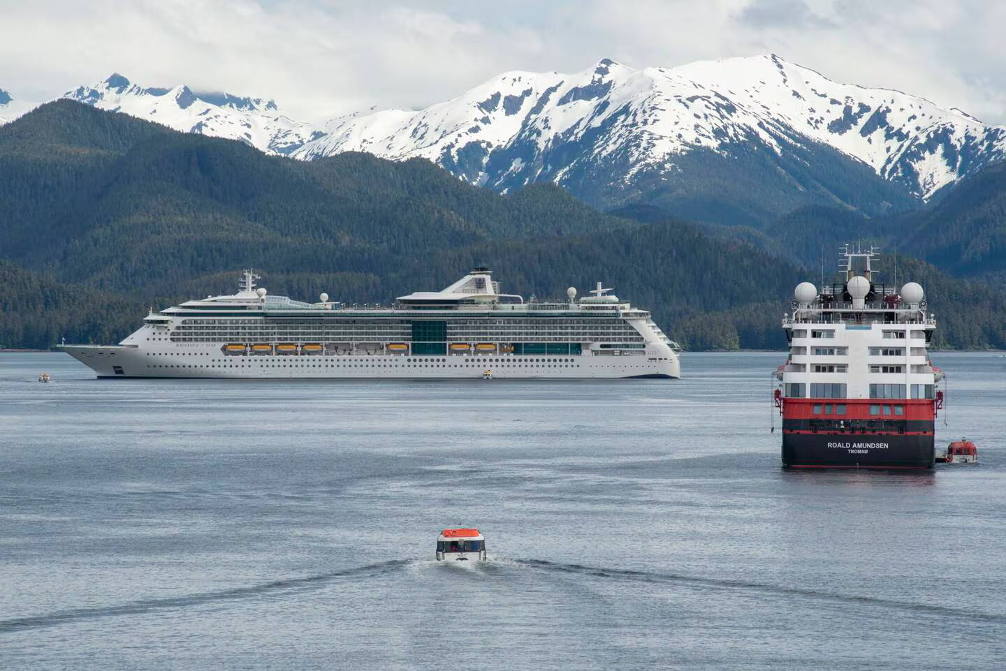 Sitka OKs another cruise ship petition for signature drive
