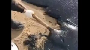 Storm Scatters Bags of Oily Waste From Spill Cleanup in Russia