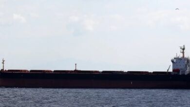 Swedish police boards Chinese bulker to observe cable outage