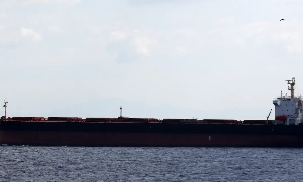 Swedish police boards Chinese bulker to observe cable outage