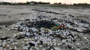 Tough Regulations for Ships as EU Moves to Contain Plastic Pellet Pollution
