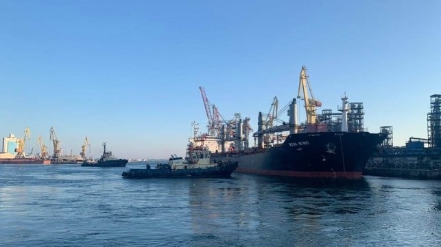 Ukraine Plans to Ship Grain to Syria, Replacing Russian Supplies