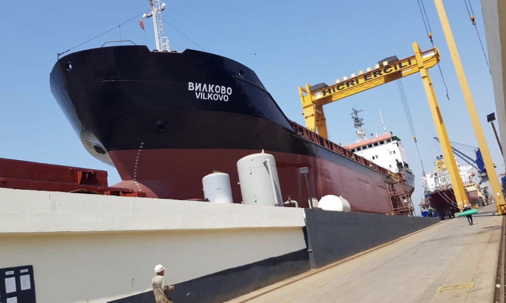 Ukrainian Danube Shipping Company puts entire deepsea fleet