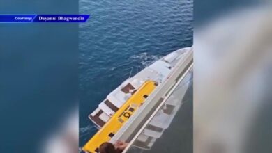 Video captures yacht crashing into Royal Caribbean ship in Bahamas - WSVN 7News