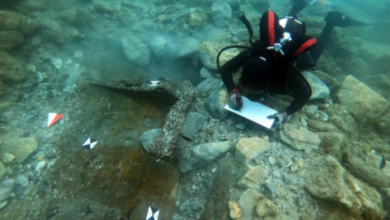 2,500-year-old shipwreck and anchors discovered off coast of Sicily | Panorama