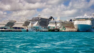 Cruise ships have worst year for stomach bugs in over a decade