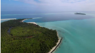 Divers Discover 17th-18th Century European Warship Wreck Near Lakshadweep’s