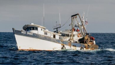 Fishing Vessel Miss Sandy Sinks Off Gloucester