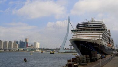 Holland America, Oceania cruise gastrointestinal outbreaks sicken 125